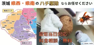 ハチ駆除茨城県南県西